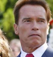 Gov. Schwarzenegger