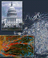Overlayed photos of grayscale US capitol and microscopic stem cell image on top of a grayscaled stem cell image.