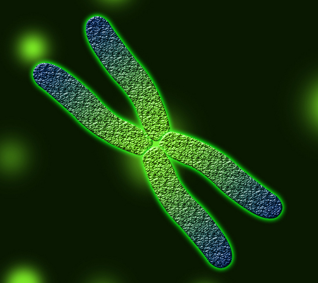 Design of a chromosome, outlined in bright green.