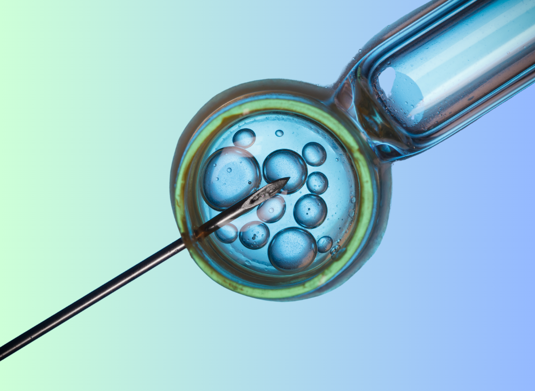 graphic of in vitro fertilization process