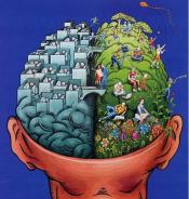 Illustrated color drawing the inside of a person's head, with the brain exposed. On the right side, there are social and creative activities in place. Grass surround  this side of the brain. On the left side, people are working in cubicles.