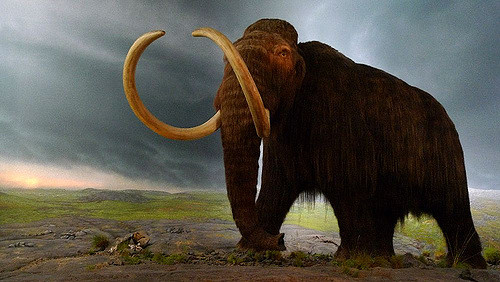 Illustrative painting of a woolly mammoth in a green, lush landscape, and a blue sky.