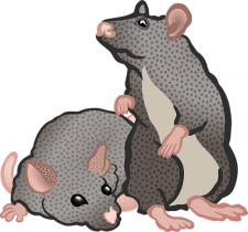 an animation of two mice