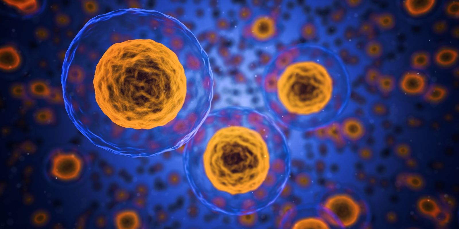 A macro photo of human cells.