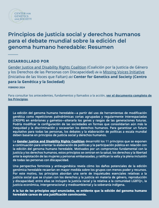 Thumbnail of Principles document, blue text on pale blue background