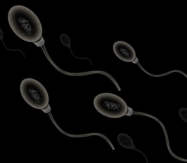 Five illustrated sperm cells "swim" toward the upper left corner.