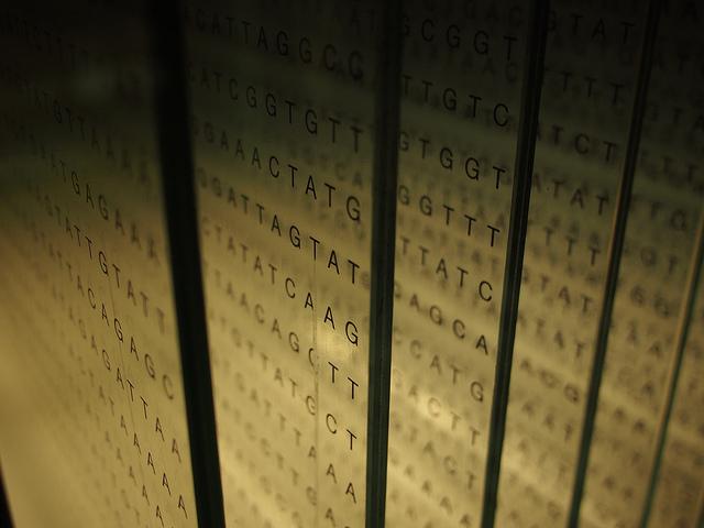 Artistic structure that displays the letters representing DNA-bases ATCG, in a glass wall.