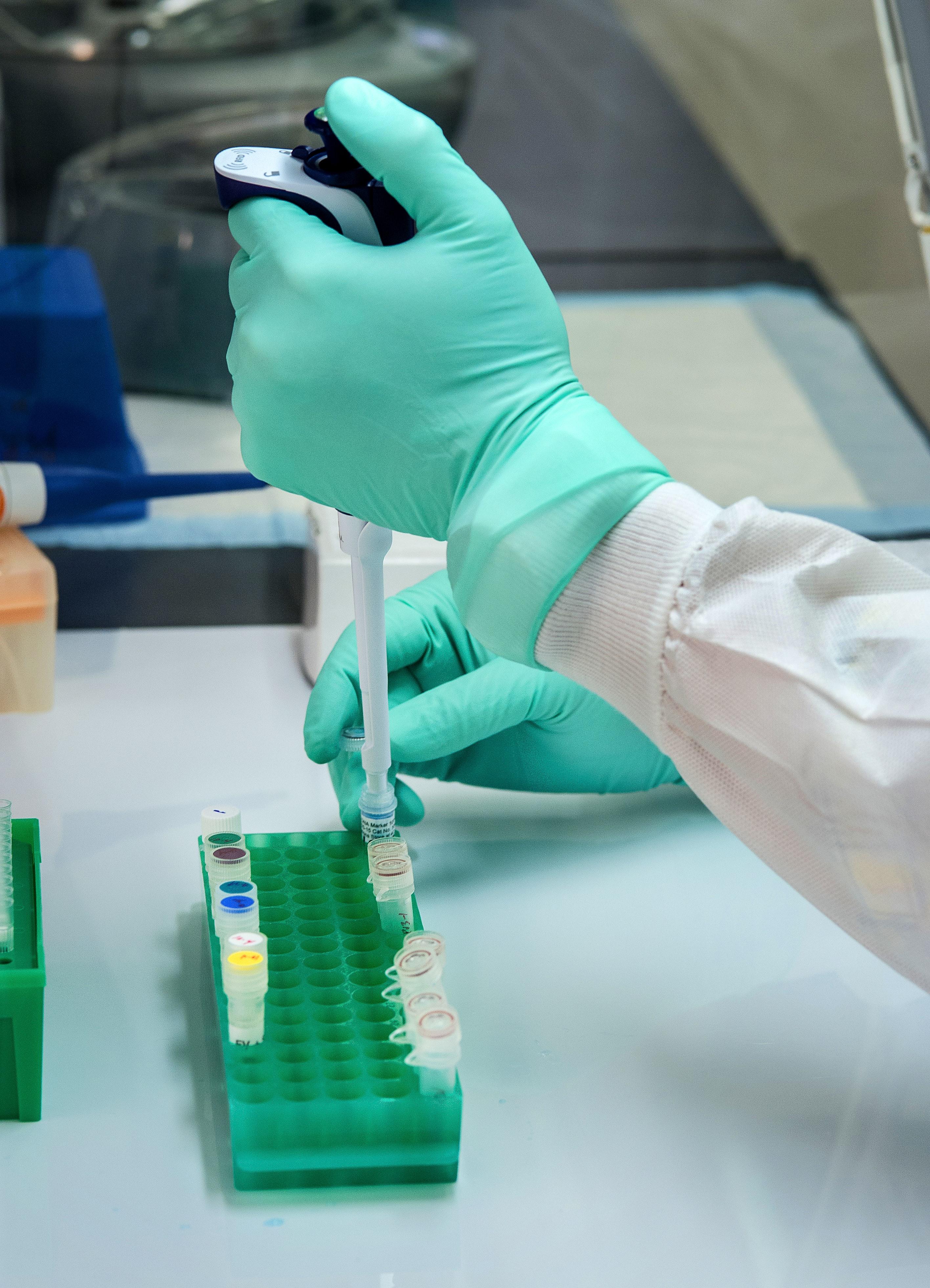 green lab gloves pipette into tray of test tubes