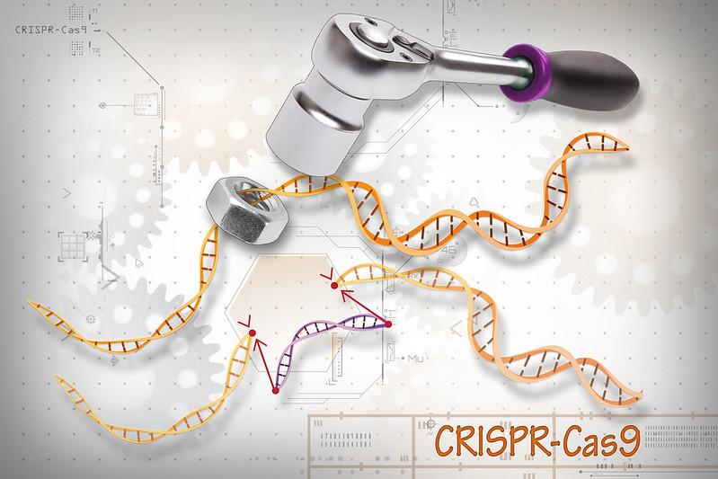 a ratchet wrench working on a yellow strand of DNA