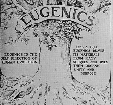 eugenics illustration