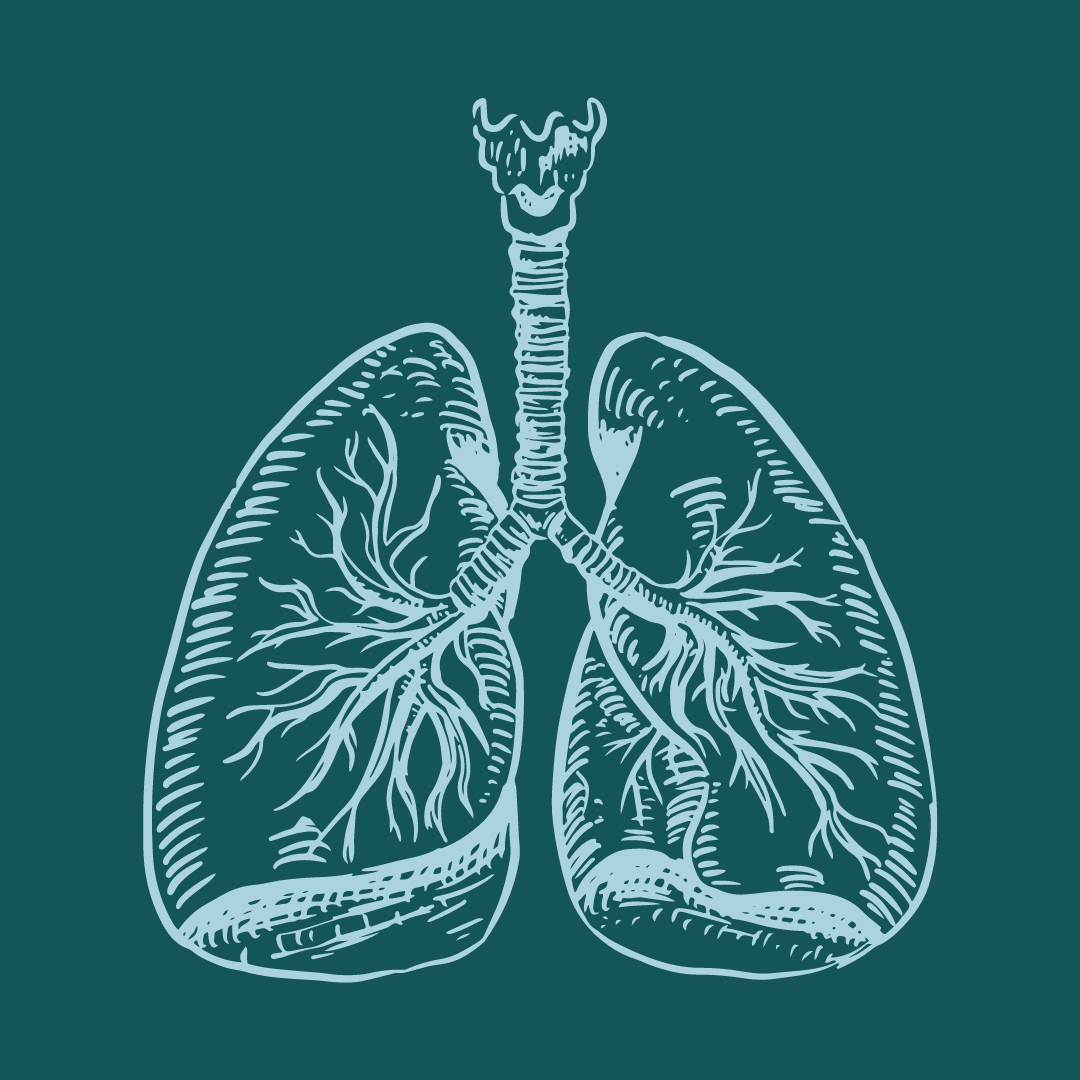 a graphic of human lungs on a blue green background