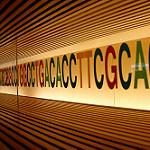 An illuminated wall display featuring multi-colored letters of ATCG.