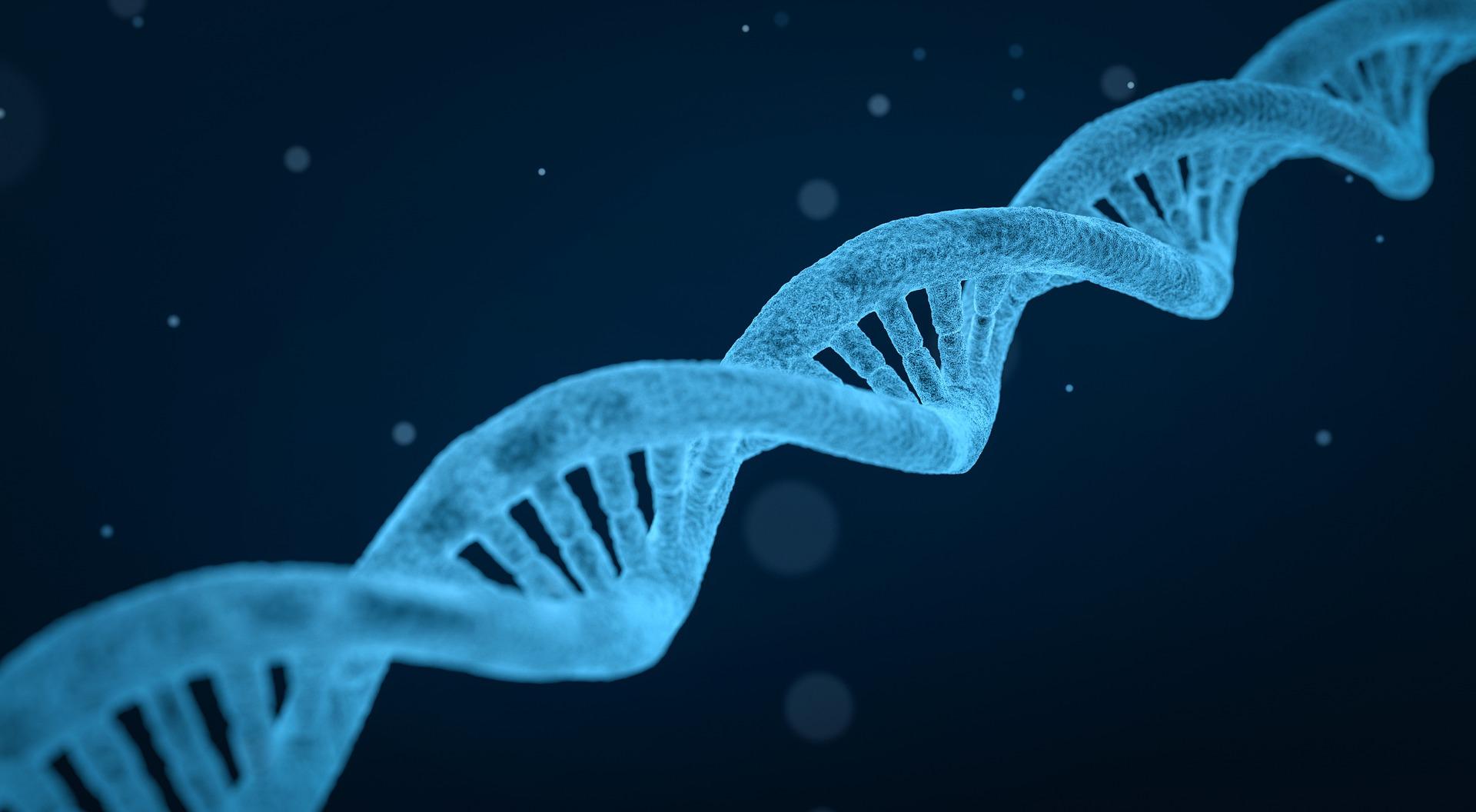 Blue double helix DNA strand on dark blue background