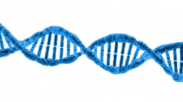 Blue double strand DNA on white background