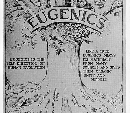 Grayscale graphic of Eugenics tree