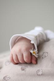 A pale baby's hand is shown holding a flower.