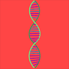 DNA Double Helix