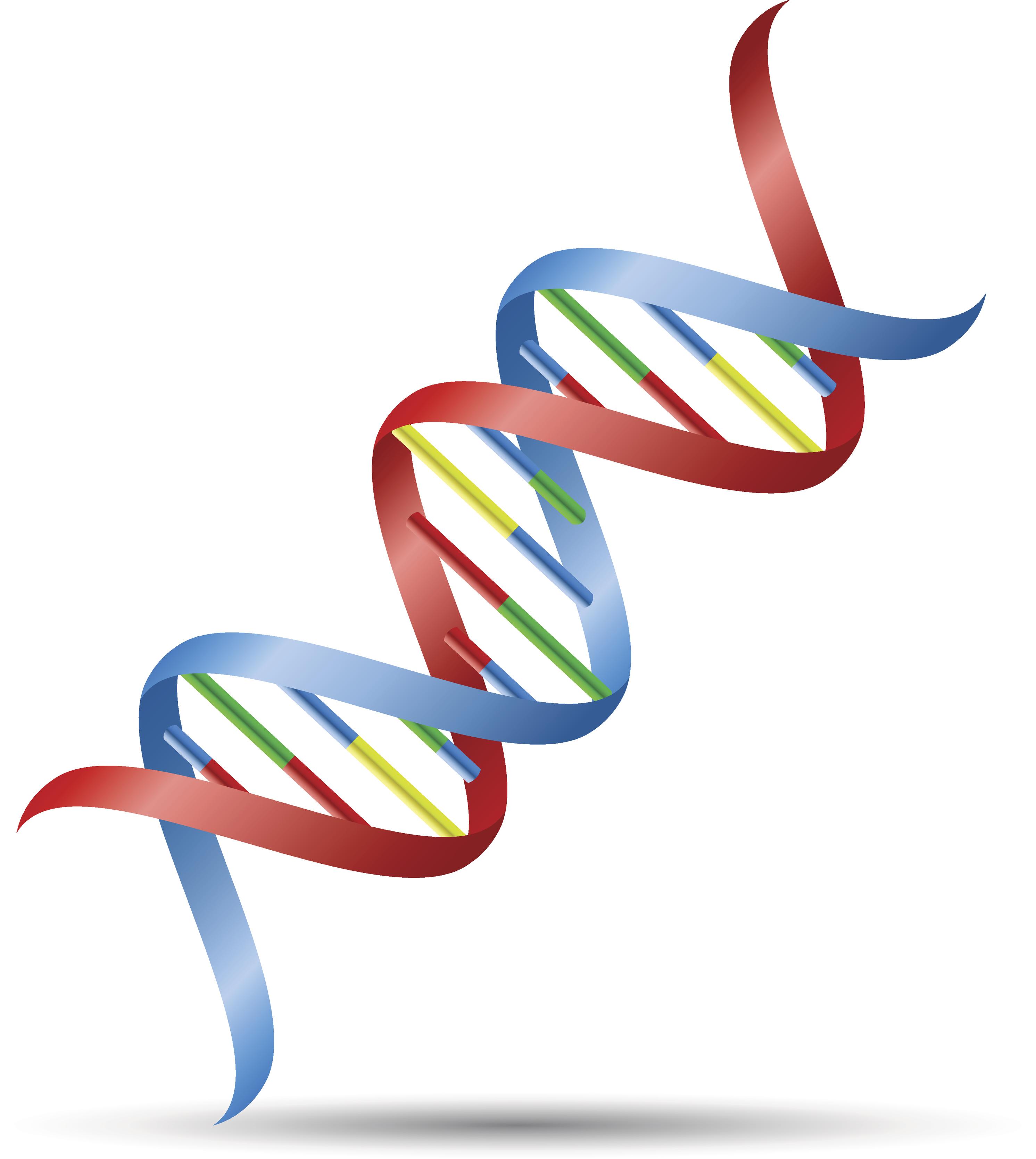 Red and blue DNA