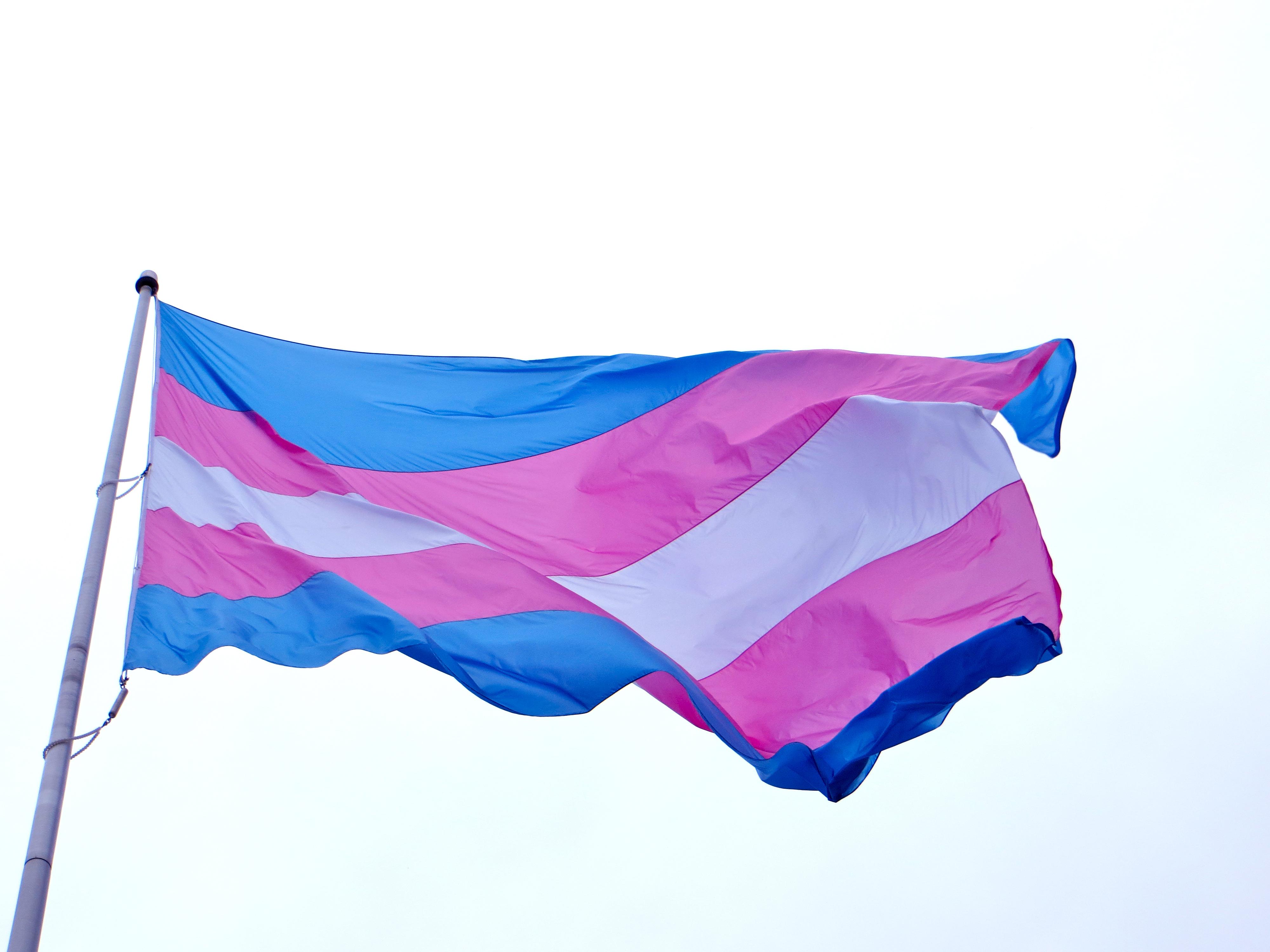 Blue, pink and white transgender flag flying